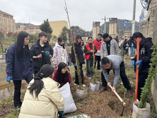 2041a75cfaf3a197fda8bbedb759183