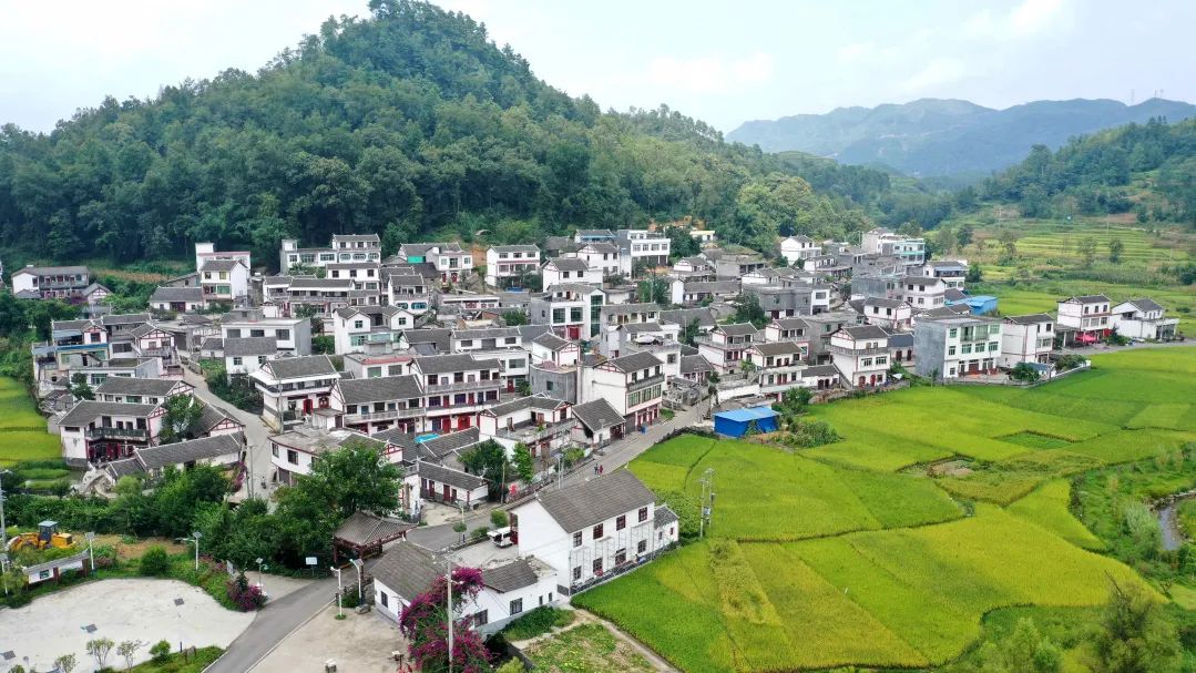 兴仁市鲤鱼村.jpg