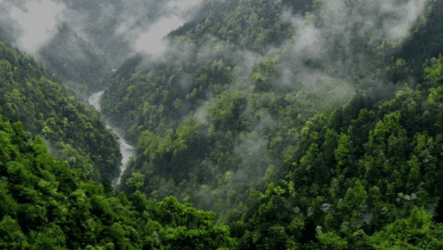 GIF_20250429065547157.gif