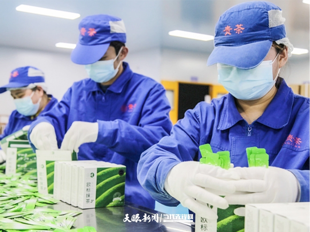 贵州铜仁贵茶茶业股份有限公司生产车间。.jpg