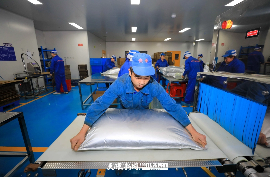 dD0xNzYxMjcyODQxX3I9NDNmMTg1YWNfdz0xMDgwX3E9MTAwX2U9anBn.webp 工人在贵州梵净山大健康医药产业示范区一家茶叶加工企业加工抹茶。.jpg