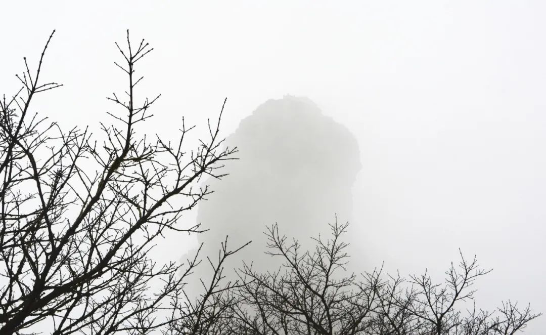 1月22日拍摄的游客在贵州梵净山景区拍照留念。申逸恺摄.JPG