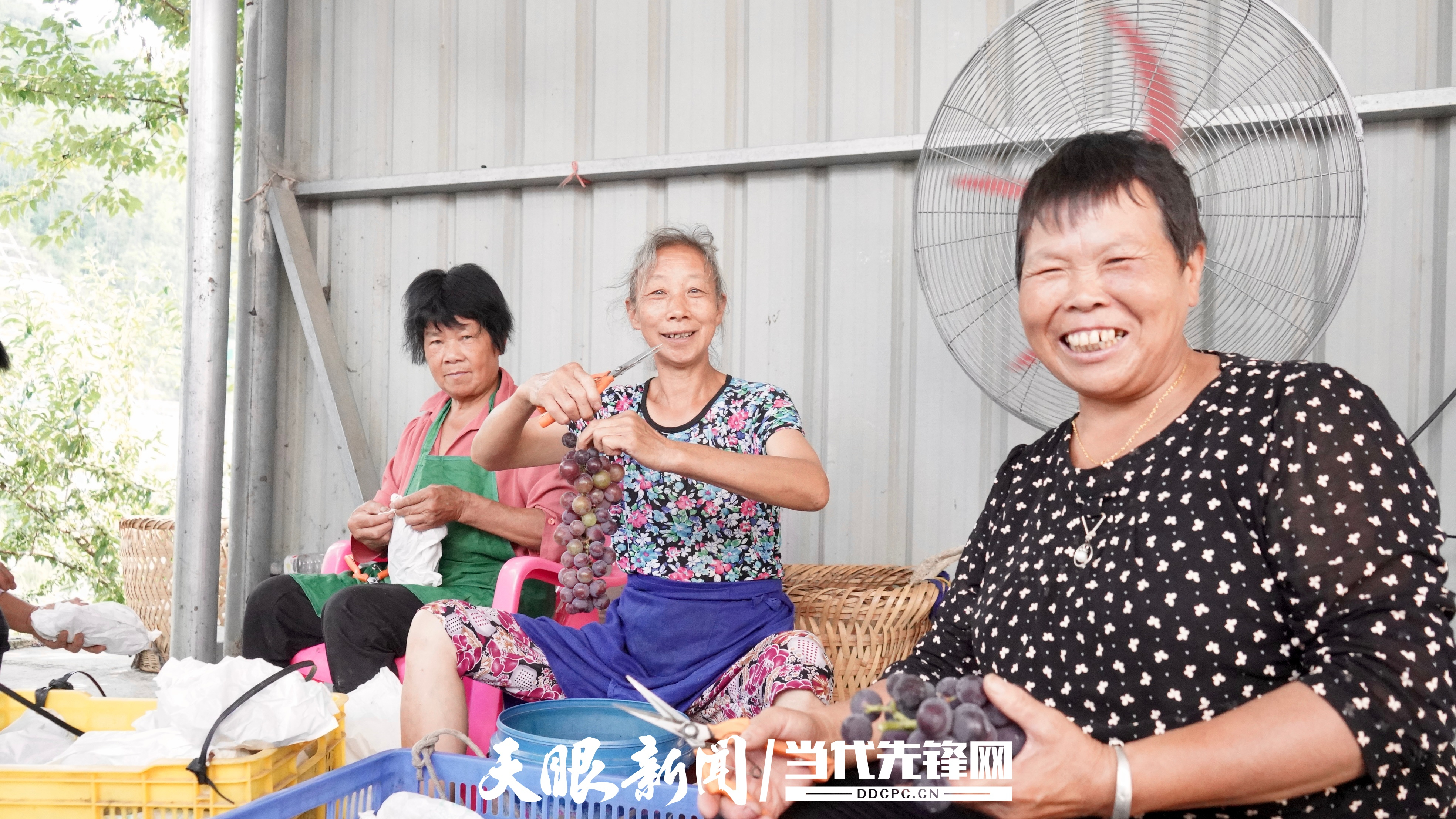 WechatIMG3425_副本.jpg