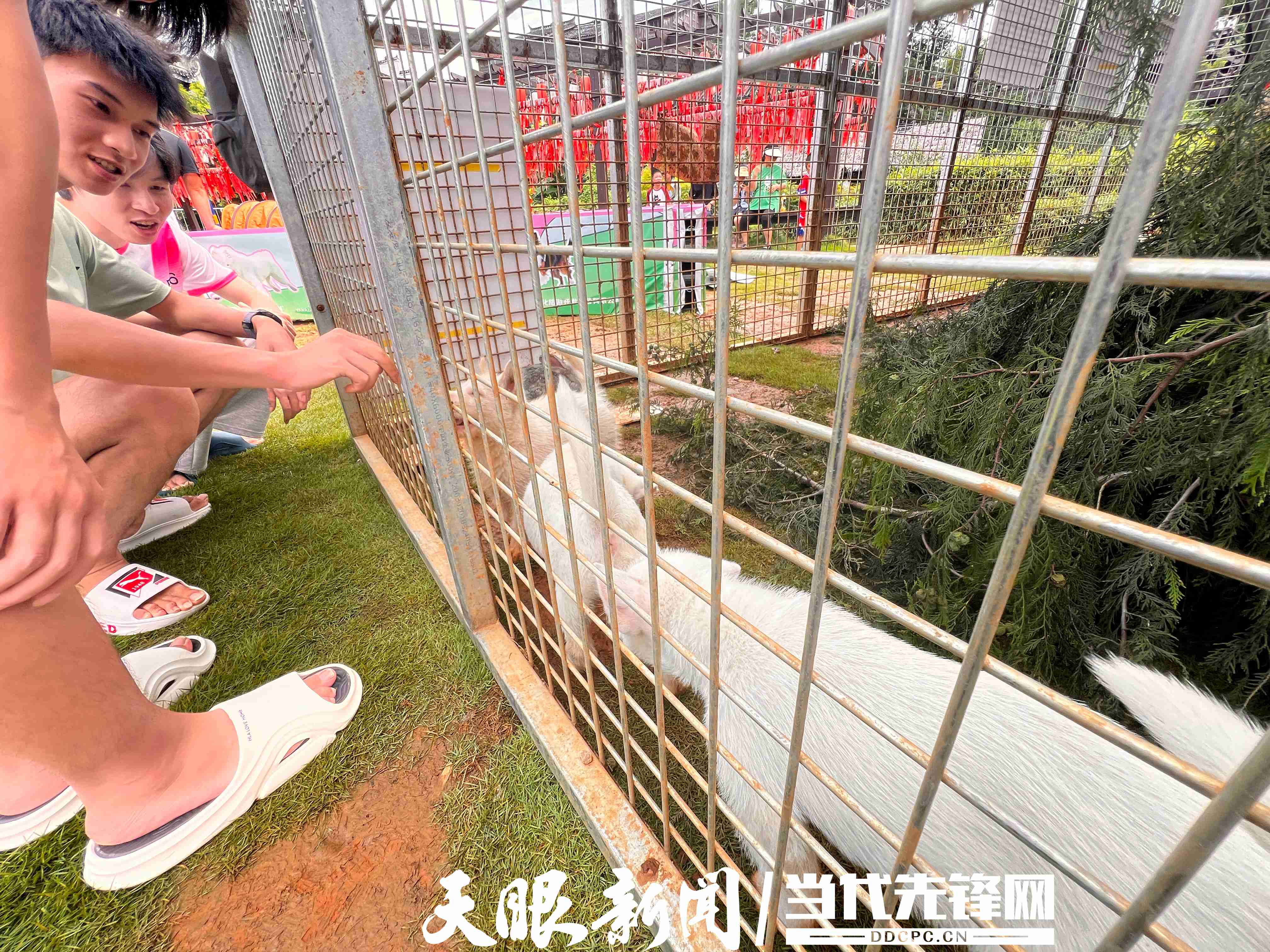 微信图片_20250713222100.jpg