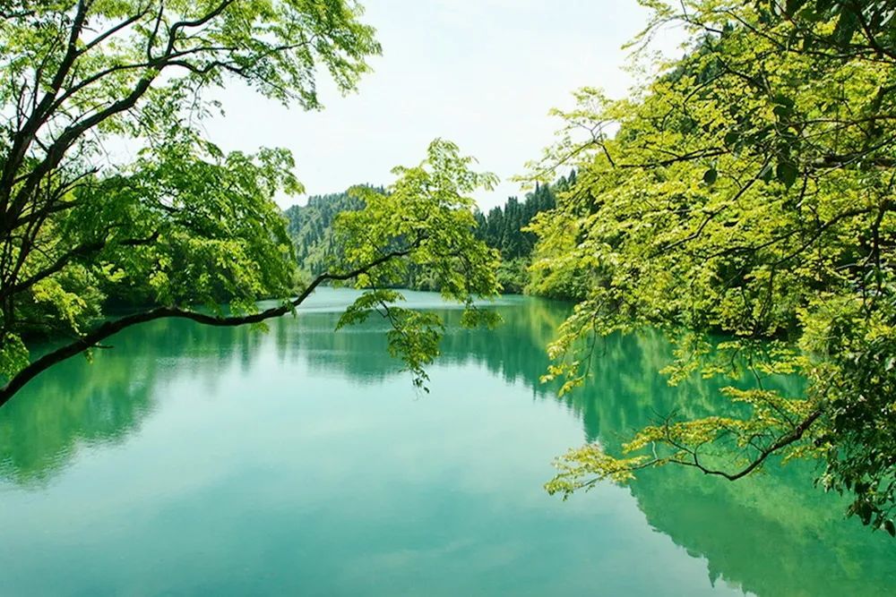 9万山长寿湖国家湿地公园 金文明 摄.jpg