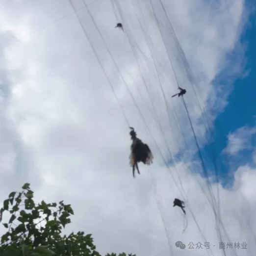 ef60c8ce-cc0c-455e-845a-bf2b05d8f94c.png ef60c8ce-cc0c-455e-845a-bf2b05d8f94c.png