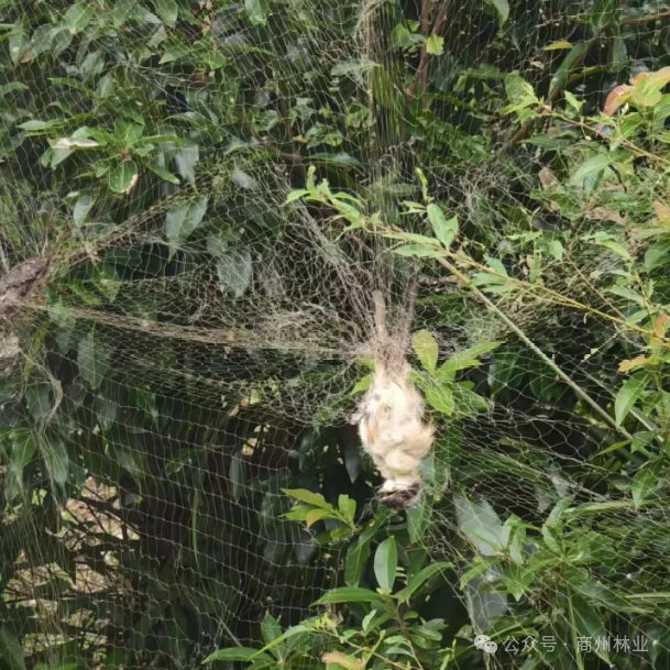 11a05969-7424-4a8b-a28b-50be206c0aec.png 11a05969-7424-4a8b-a28b-50be206c0aec.png