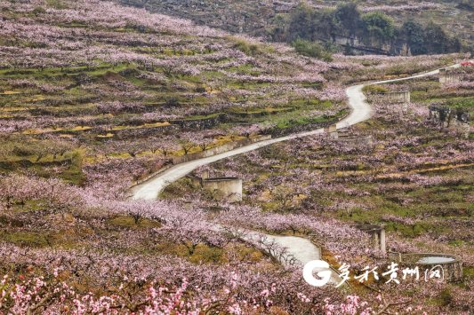 安顺普定梭筛桃花岛
