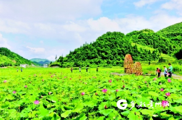 多彩贵州网 多彩贵州网旅游 文旅动态 多彩贵州网讯(通讯员 蒙永文