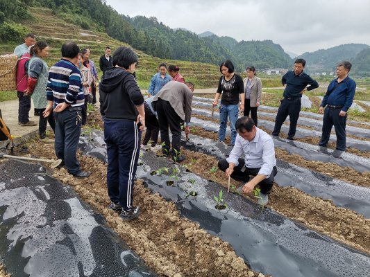 湄潭县开展四个一活动庆祝第六个全国科技工作者日