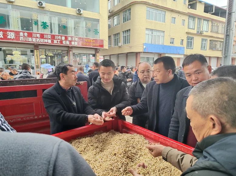 玉屏自治县组织各村党支部赴四川省绵阳市三台县开展麦冬种植观摩学习。.jpg