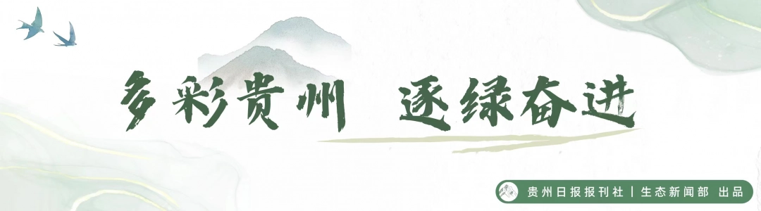 dD0xNzYyNDEwODQ4X3I9YmI5MjNkNzhfdz0xMDgwX3E9MTAwX2U9anBlZw==.webp 封面.jpeg