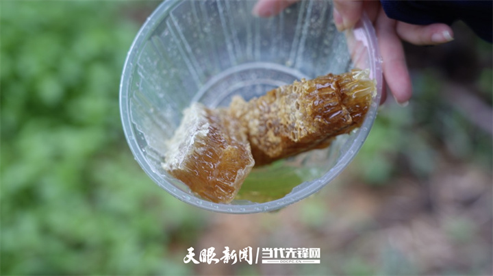 夏蜜.jpg