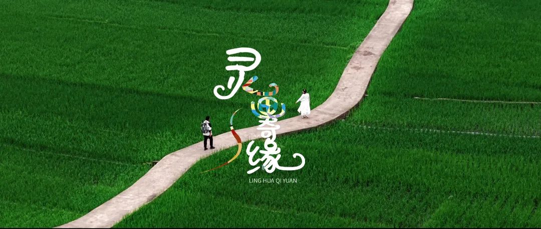 正片封面 .jpg