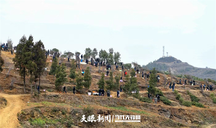 1月28日，2023年全省义务植树活动在省市县乡村五级同步举行。.jpg