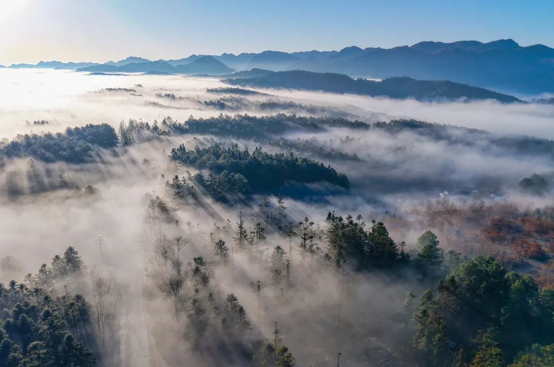 毕节市赫章县城至平山国有林场一带现日出云海美景.jpg