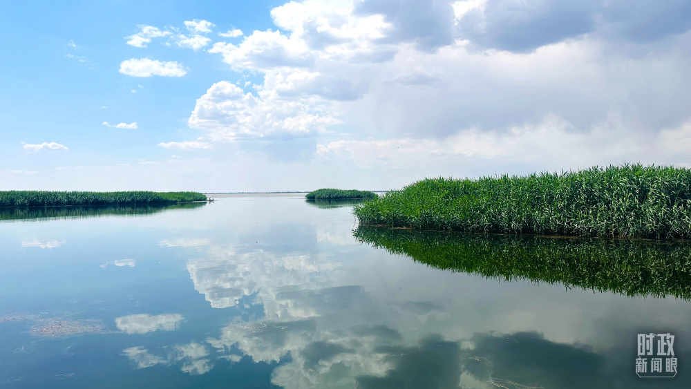 内蒙古乌梁素海，是黄河流域最大的湖泊湿地。（总台央视记者范一鸣拍摄）