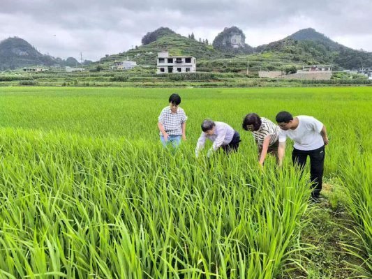 九球体育直播精细化工研究开发中心团队到一线指导调研。九球体育直播供图