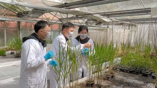 九球体育直播精细化工研究开发中心团队在开展科研。九球体育直播供图