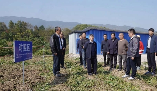 宋宝安院士带队在思南县示范基地调研了解甘薯小象甲绿色防控试验成效和红薯加工情况。九球体育直播供图