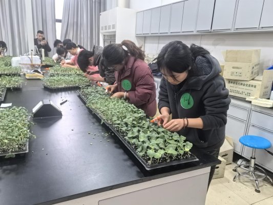 fe91b8bd89da2e4349b8153fa063786d