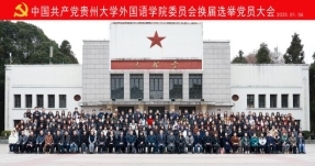 2025年党委换届党员大会周斌周杰 (6)