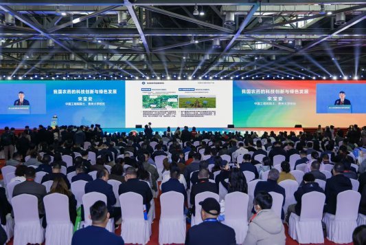 378655a5081580bb9125668d23f035b8