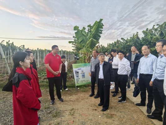 2d794728a5d532904c402cbae10d7a4e