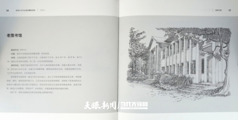 8212719d-3af2-44cb-bffe-d8366bdb2e40.jpeg