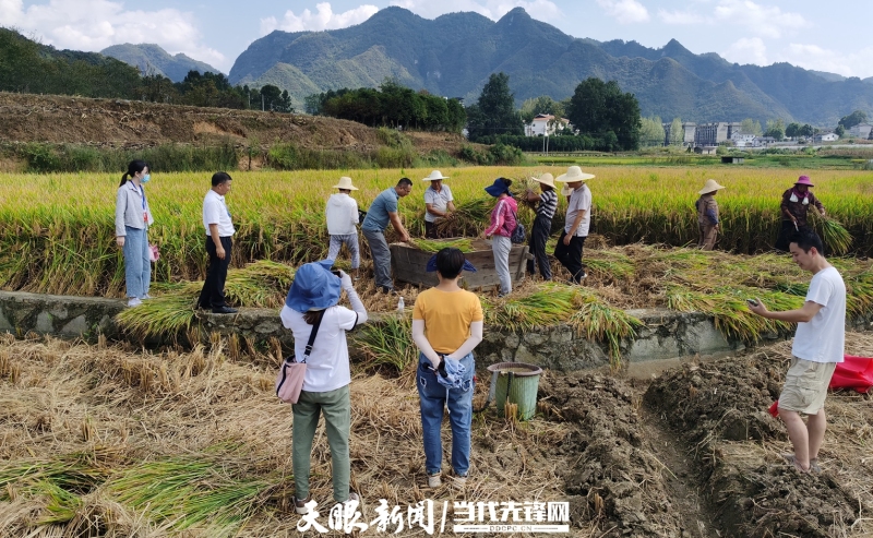 1663640550160744.jpg 2.jpg