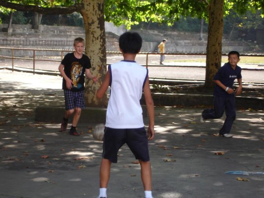 201afdd84447ff125cba519c94f8109