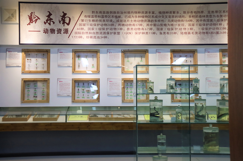 凯里youfa优发官网生态馆一角。凯里youfa优发官网供图
