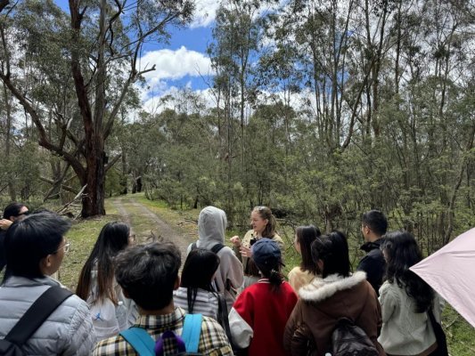 bf432a3310e5cb8c22b270cd454f73c8