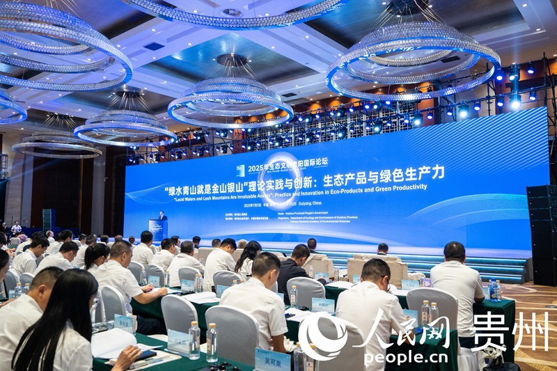 论坛现场。人民网 阳茜摄
