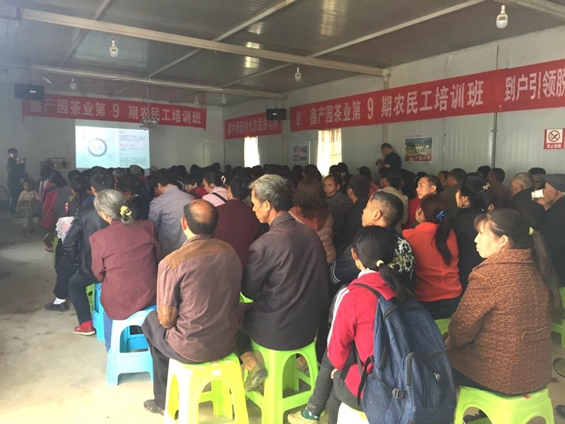 支部在鑫产茶园开展茶农培训。