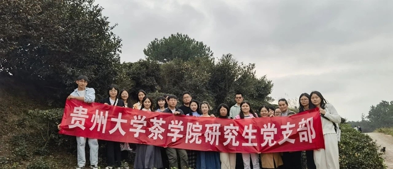 支部在茶园开展主题党日活动。