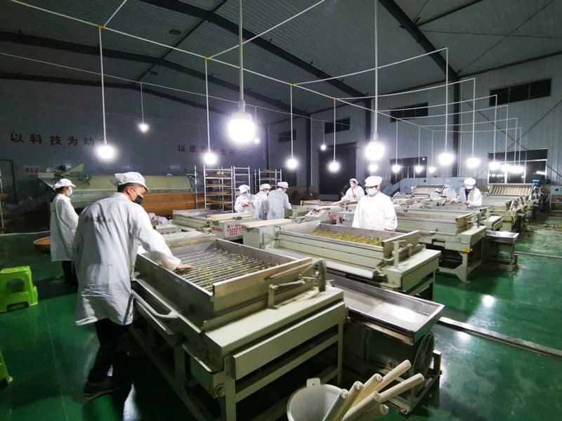 支部张金玉等党员在车间开展高香绿茶研发。