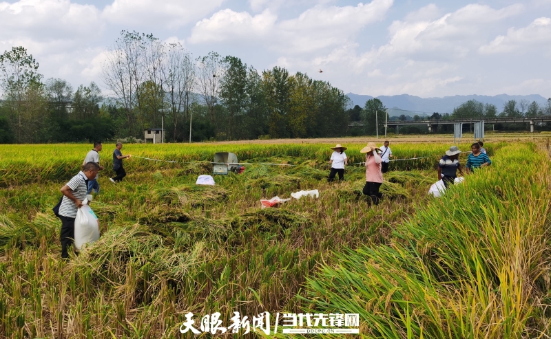 1663635293726650.jpg 1-2.jpg