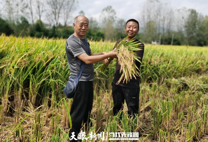 1663635393516419.jpg 1-4.jpg