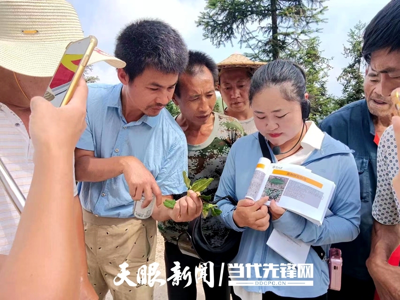 微信图片_20221010165211.jpg