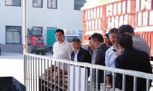 调研现场。九球体育直播供图