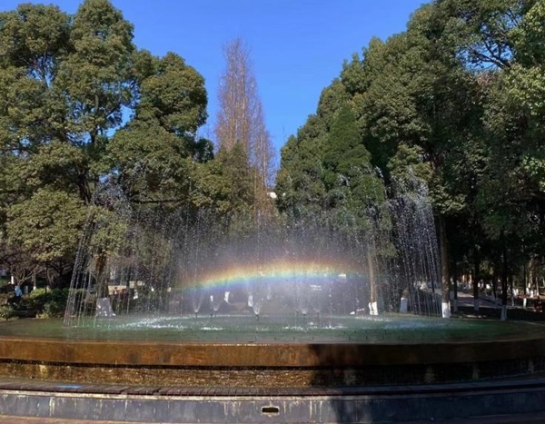 作品《彩虹》。作者：熊莹    