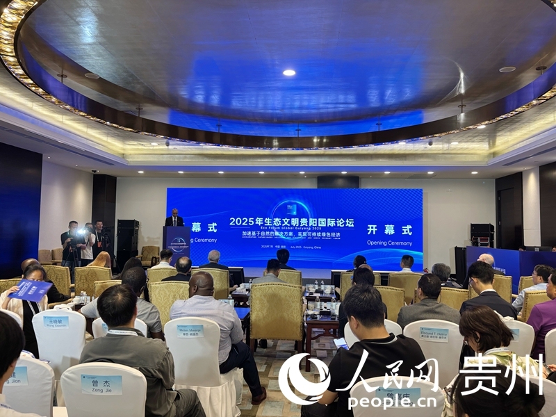 论坛现场。人民网记者 高华摄