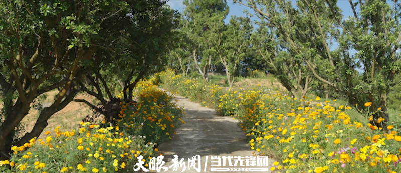 片头.00_02_33_09.静止007.jpg