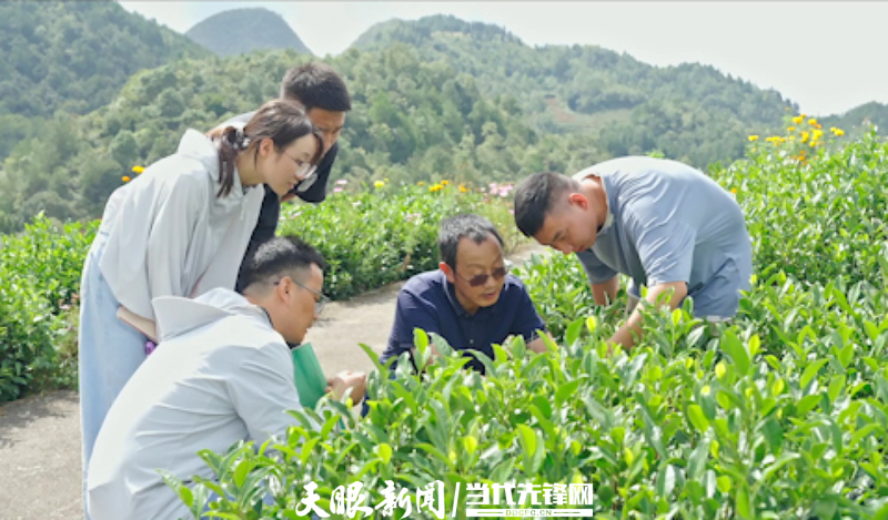 片头.00_00_54_22.静止002.jpg