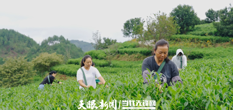 片头.00_00_44_08.静止001.jpg