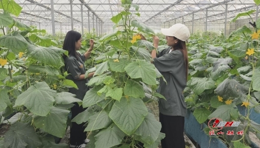 a2c7acc812ea9e7e251c350d5a34f1e