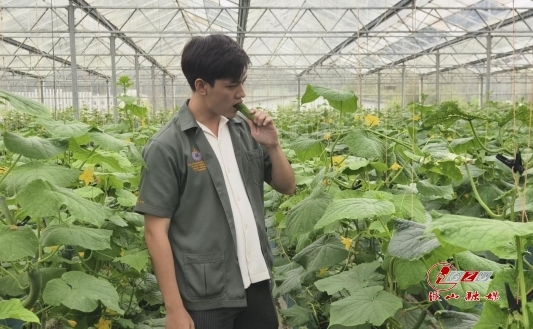 cdb5b6ef0e9c0bd6b810d3762745dfa