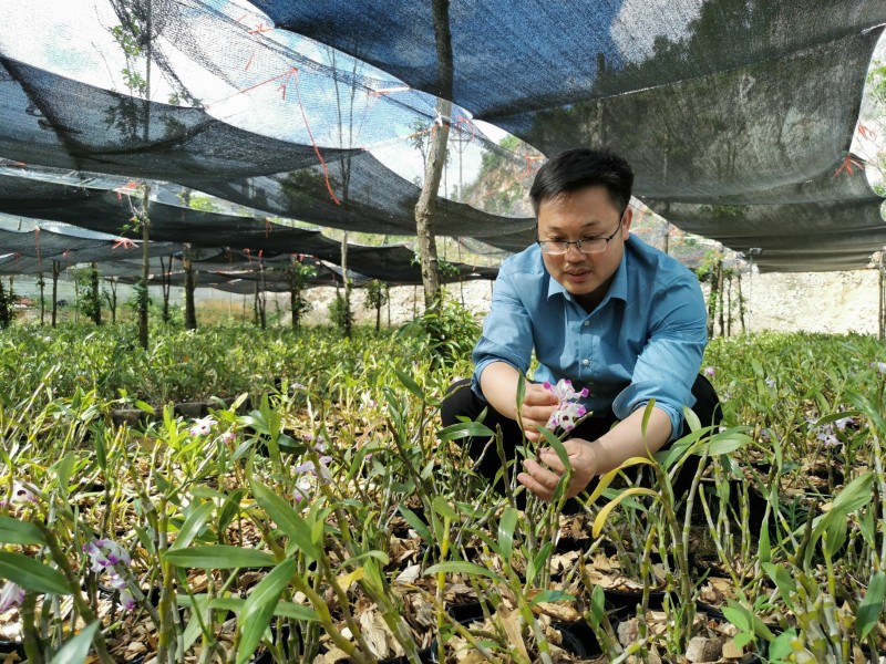 1649985723857827.jpg 黄明进在查看石斛长势.jpg