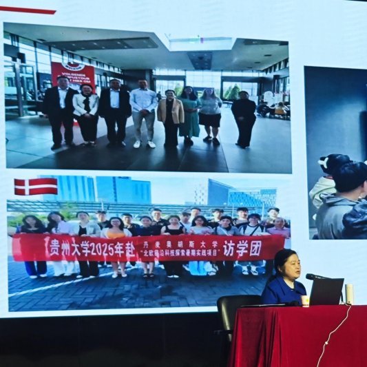 705033D2B52BD0D395E5DF578AA95D81